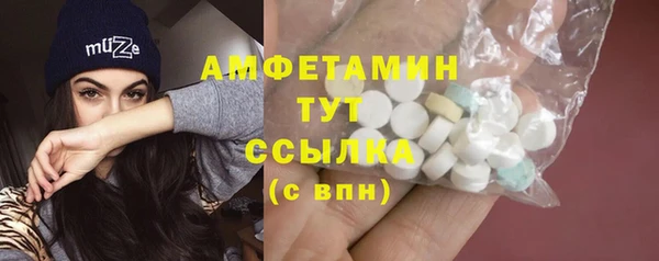 амф Алексин