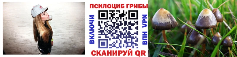 Галлюциногенные грибы Cubensis закладки Октябрьск